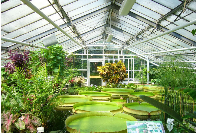 Eco-Friendly Extensions: Greenhouses for Sustainable Living post thumbnail image