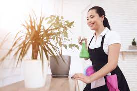 The Filipino Maid: An Extensive Knowledge of their Task Scope post thumbnail image