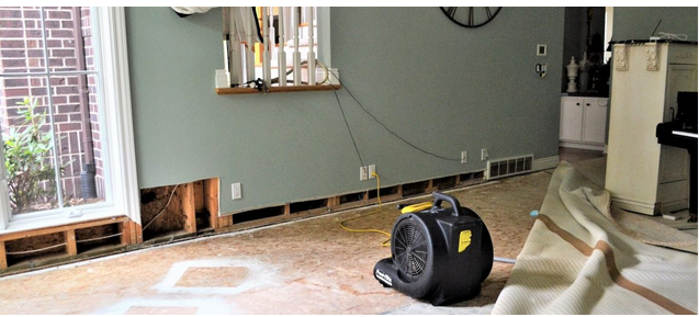 Restoring Your Oasis: Professional Water Damage Cleanup post thumbnail image