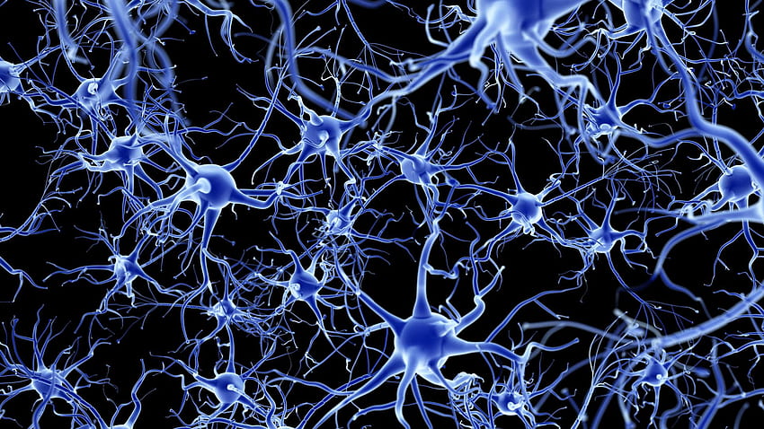 Evoke Neuroscience: The Smart Way To Check Your Brain Health post thumbnail image
