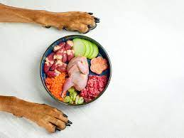 Paws and Carnivores: Decoding the Best Raw Dog Food Options post thumbnail image